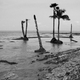 Image for article titled Photos: This is life on a sinking island